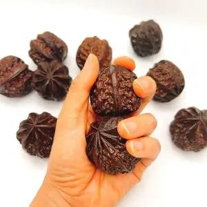 손바닥 마사지볼 호두 모양 손지압다리 1P 스트레스 해소 독서용 (WFJ5TM2)