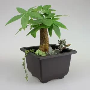 미니 사각 다육 화분 다크닉 용기 재배 트레이 (WFJ5TTO)