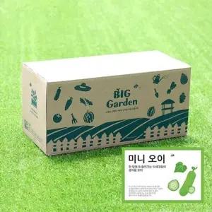 저면관수화분 베란다텃밭 도시농부 저면관수화분베란다 (WFJ736H)