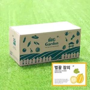 저면관수화분 베란다 텃밭 도시농부 베란다텃밭화분 (WFJ736I)