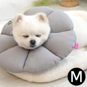 패리스독 애완용 넥카라 (그레이) (M) WFIYT5B