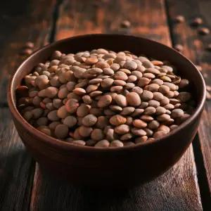 브라운 렌틸콩 10kg (5kg+5kg) - 캐나다산