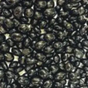 국산 서리태콩 곡물 콩류 씨 종자 품종 식물 씨앗 30g WA418F8