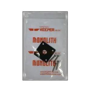 악기부품 에피폰 잭플레이트 PTS12 플레이트 기타악세사리 (WFKA17F)