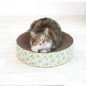 패리스캣 원형스크래쳐 4종 / 고양이 원통 스크래처