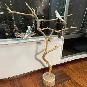 앵무새 횟대 나뭇가지 쉼터 조류 통나무 새장 놀이터