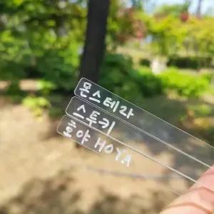 투명 아크릴 식물 네임택 화분 팻말 12p 스틱형 (WFKB2UO)