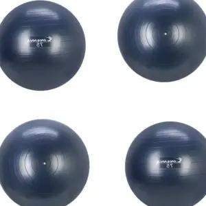 L24 테스짐볼 75cm 블루인디고 임산부운동기구 통통볼