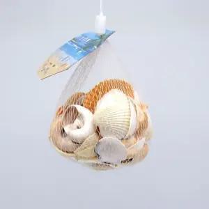 네추럴조개껍질 조개껍데기 핸메장식 네추럴 조개 만들기재료 수집