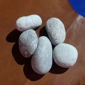 동글동글 에그스톤(30-50mm 중) 5알 (WFKAYAC)