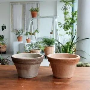 이탈리아토분.러프스크래치 볼케이노 21x13cm 아레나 (WFKAF08)