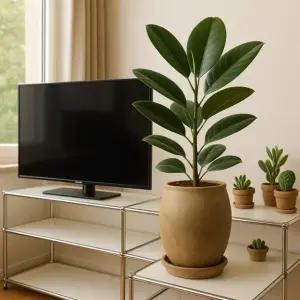 빈티지 아쿠아 토분 롱에그 15x23cm (WFKAZGM)