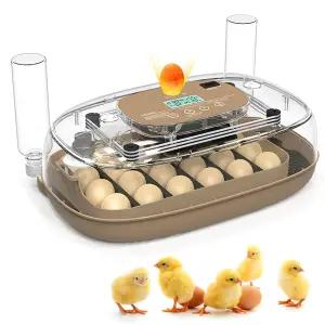부화란 인큐베이터 자동 회전 및 습도 조절 기능이 있는 24개의 알 360° 뷰 De Huevos Gallina 캔들러 닭