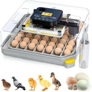 자동 계란 회전 및 습도 조절 기능이 있는 부화용 베슬리 48 인큐베이터 캔들러 닭 오리 거위 비둘기