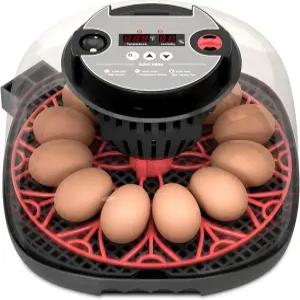 플로리닉스 12 인큐베이터 디지털 디스플레이 내장형 캔들러 및 치킨 오리 메추리 용 자동 계란 회전 온도