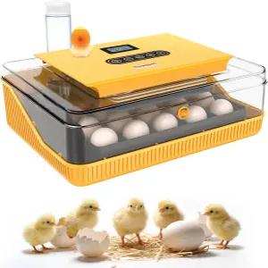 디보펫 25 알 인큐베이터 부화 알을 위한 자동 터너 및 온도 습도 제어 캔들러 메추라기 닭 오리 거위