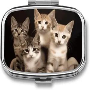 거울 고양이 가족 고양이가 있는 여행용 휴대용 알약 상자 인쇄 직사각형 의약품 2구획 케이스 생선 기름