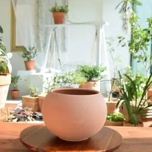 베트남 토분 테라원 루나(볼) D15 15x14cm 베트남 토분 테라원 루나 볼 D15 15x14 화분 원예 장식