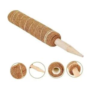 TC 코코넛 야자 스틱 (식물 지주대) 코코봉 60cm