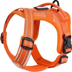 목줄 세트가 있는 원티그리스 개 하네스 초소형/소형 반려견을 위한 두꺼운 패딩 ANTZ 조끼가 당김 조절