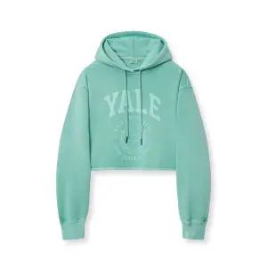 [롯데백화점]예일 여성용 아치로고 피그먼트 크롭 후드티셔츠 (YFS1HD201AGN)