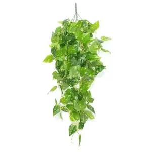 풍성한 조화 D 덩쿨 (WFKBL5R)