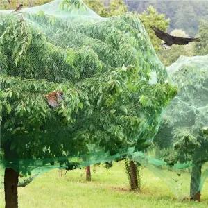 농작물 보호용 새그물망 2x10M 참새망 새망 울타리망 방조망 참새그물망