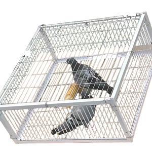 조류포획망 유해조류 비둘기 포획망 유인포획망 대형 포획틀 퇴치 까치