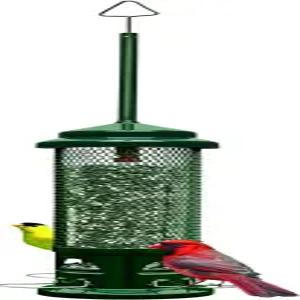 야생 조류 다람쥐 버스터 레거시 방지 새 모이통 u2013 금속 탈착식 농기구 4개 씨앗 용량 26파운드 씹을