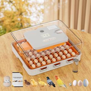 Ouluu 56 달걀 인큐베이터, 자동 회전 및 스마트 온도/습도 제어, 내장 캔들러, 추가 부화 가이드 - 닭, 오리, 메추라기, 거위, 앵무새, 비둘기, 농장, 가정, 실험실,