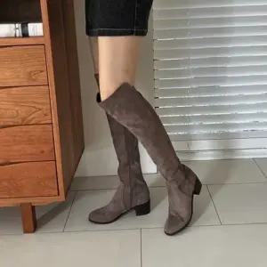 여성 가을 데이트 룩 싸이 하이 스웨이드 롱 부츠 (WFKBWDR)