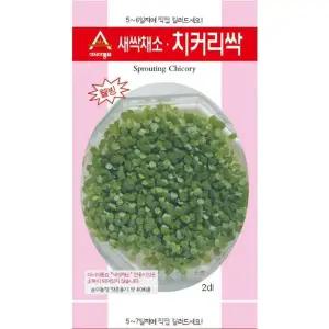 새싹채소 치커리싹 씨앗 5-7일 재배 종자