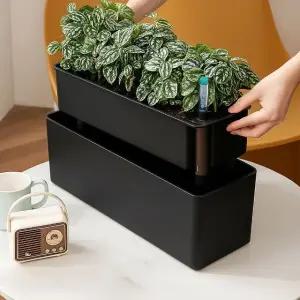 고품질 열매가 주렁주렁 저면관수 화분 블랙 상추 베란다텃밭 (WFKDZ2D)