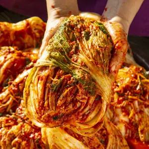 배추김치 10kg