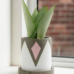 모던레시피 아트 패턴 시멘트 원형 화분 받침 세트인테리어 정원 원예 베란다 꽃화분 식물 플라워 꽃집 분