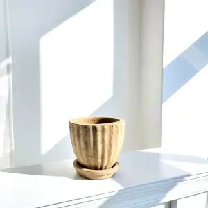 테라원 빈티지 아쿠아 토분 TC11 17x15cm 받침셋트장식화분 인테리어 디자인 실내 정화분 소품 식물