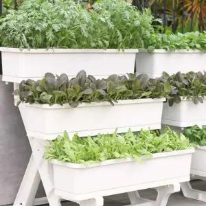 발코니 베란다 다층 재배 화분 상추 상자 대파 야채 가정용