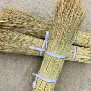 볏짚 행사 지푸라기 강아지집 공예용 메주용 밀짚 건조짚
