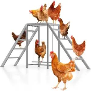 그네 닭장 바 액세서리 장난감 반려동물의 과 행복을 위한 나무 사다리 튼튼하고 청소하기 쉬운 뒷마당
