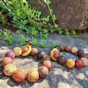 십이지 불교용품 소원팔찌 기도 염주 염주 팔찌 종교 단주 12지