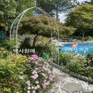 장미 아치 넝쿨 덩굴 지주대 플라워