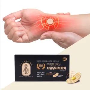 사임당패치 사임당 4000가우스 동전 금도금 자석파스 (자석10매, 비자석50매) 총60매