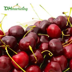 정품 생체리 2kg