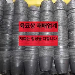 대용량 비닐포트 모종 묘목 대량 용기