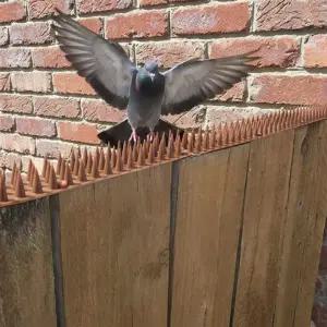 꼿꼿한 실외기비둘기퇴치 까치퇴치법 버드스파이크 아파트 30x4.5cm