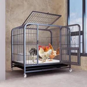 조립식 닭장 닭 높이 토끼장 조류 고급 사육장 대형 키우기 닭키우기 닭장만들기 놀이터