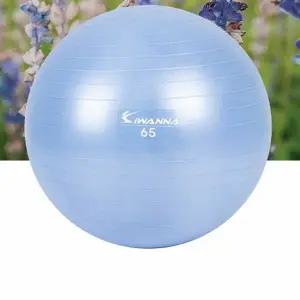65cm 홈트 전신운동용 짐볼 - 실내 운동 소품