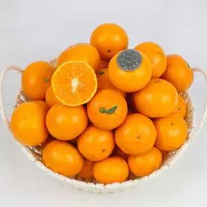 제주 미니향 3kg/ 크기는 미니 당도UP 산도DOWN 더맛있는 작은귤