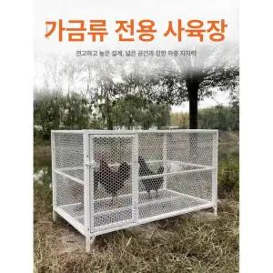 사육장 양계장 하우스 닭장 병아리 닭 대형 닭집