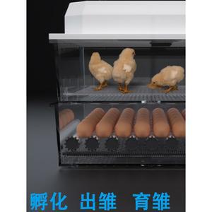 그린부화기 자동 국산 부화기 그린 하이엔 유정란 거위 24개 1 오리 달걀